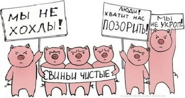 Нехохлы