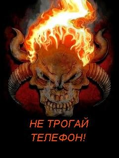 X2 Skull