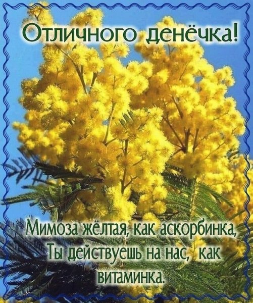 file_93196050
