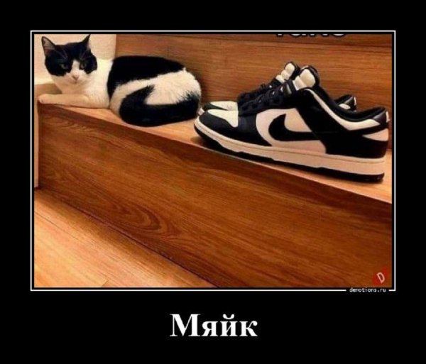 Сравни