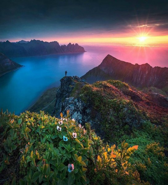 file_101736774