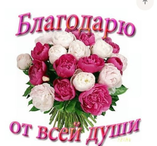 IMG 20240528 100510