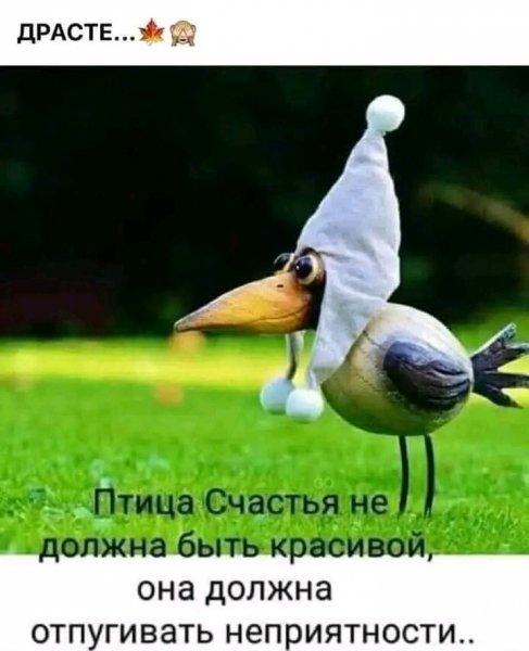 file_103453280