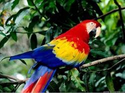 file_46275400