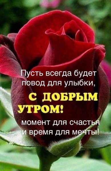 file_90031177
