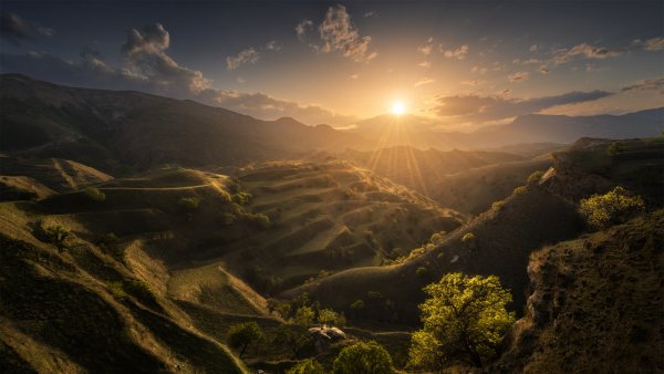 file_94491668