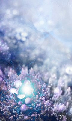file_43857653