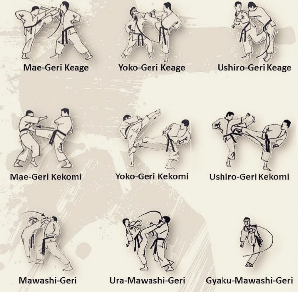 karate club