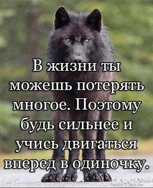 file_99118744
