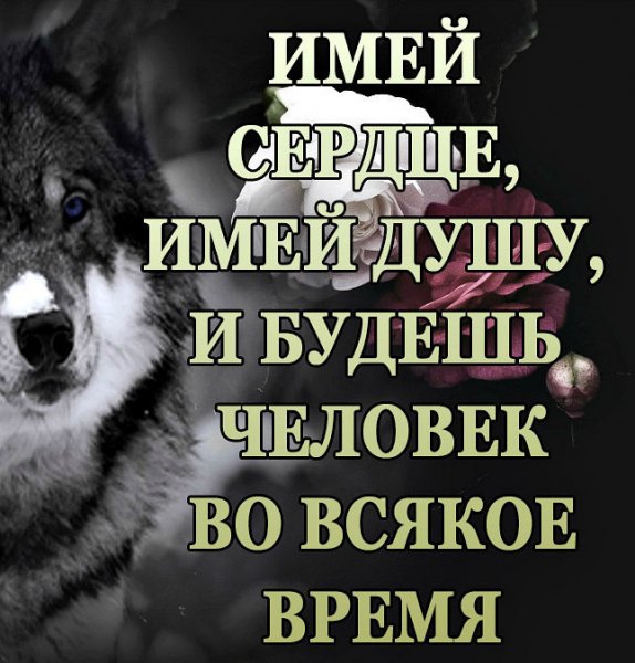 Имей сердце