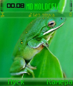Greeny Life