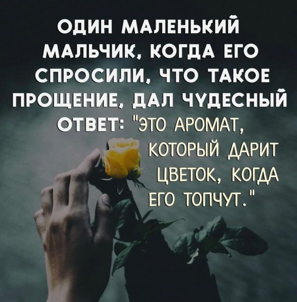 IMG 20260516 112735