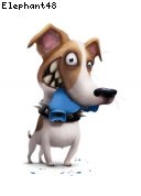 LocID 1.1.95 p81