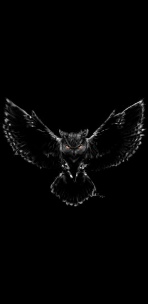 scary owl 1