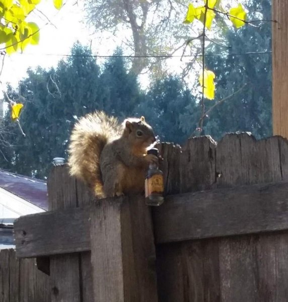 daily picdump 003184 001