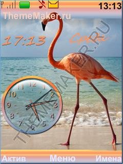 Flamingo