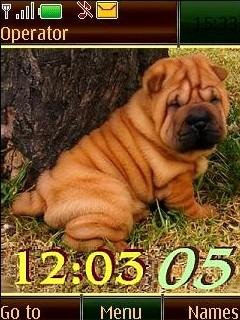 Sharpei12pict swf