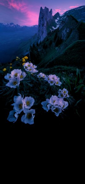 file_90910037