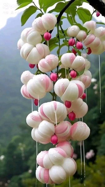 file_96269927