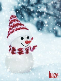 file_75709005