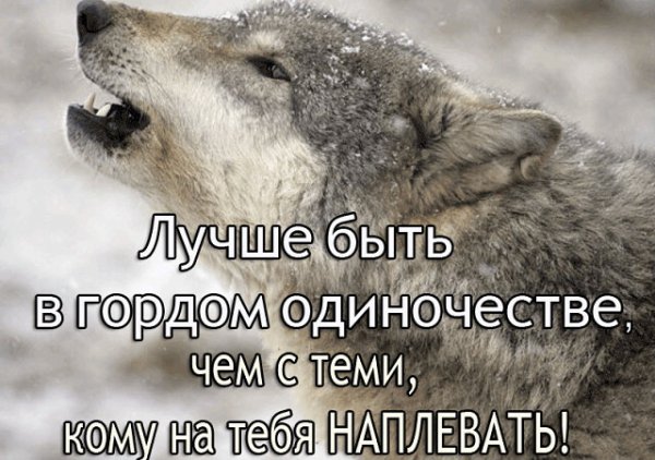 Гордый в одиночестве