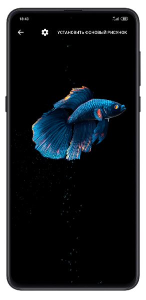 BETTA FISH-1.2 Unlocked