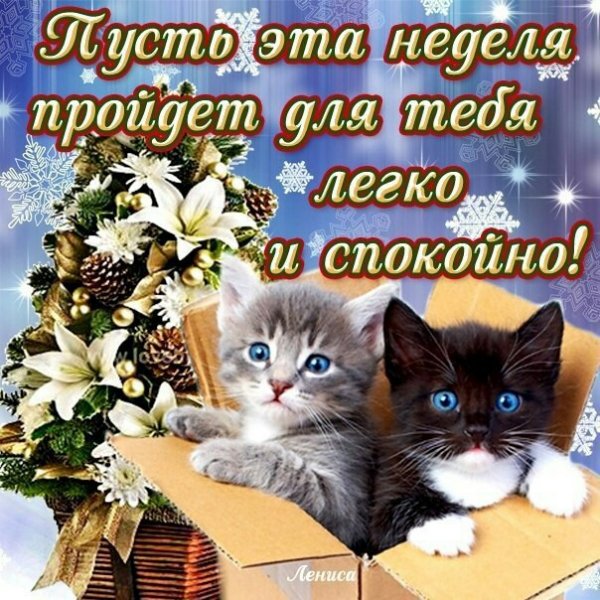 sdMrFl9vNvQ