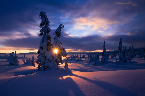 Wallpapers 539