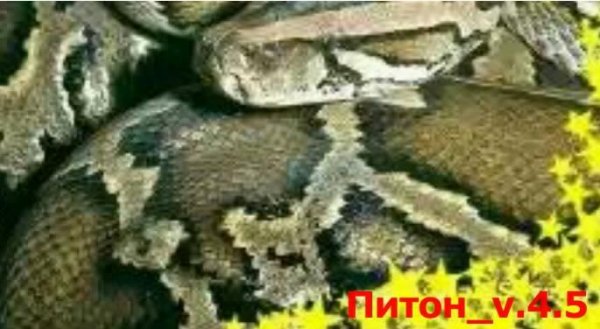 Python v4.5 оt Gаng228