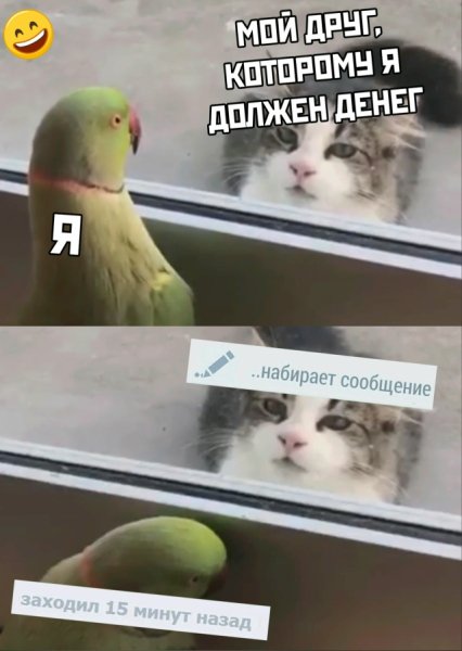 file_103236409