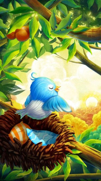 c3589be730001dd6f6bwallPaper
