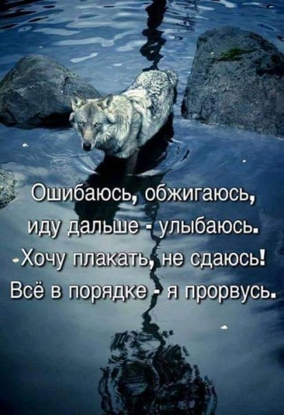 Прорвусь
