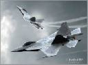 Free Flight 3D s40 240x320