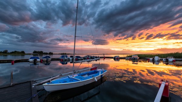 file_97153071