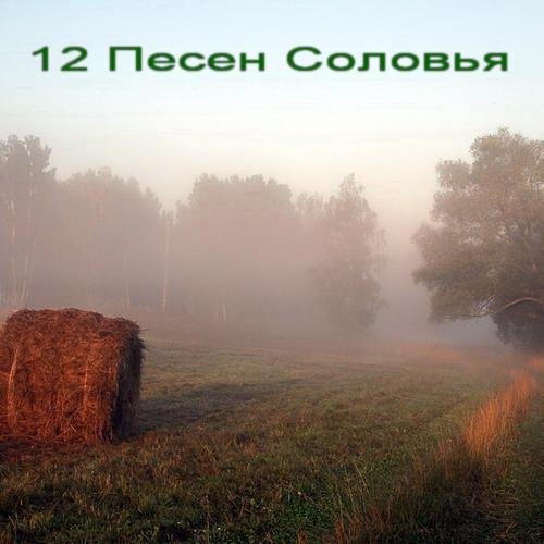 ПЯТАЯ ПЕСНЯ ДУЭТ С КУКУШКОЙ