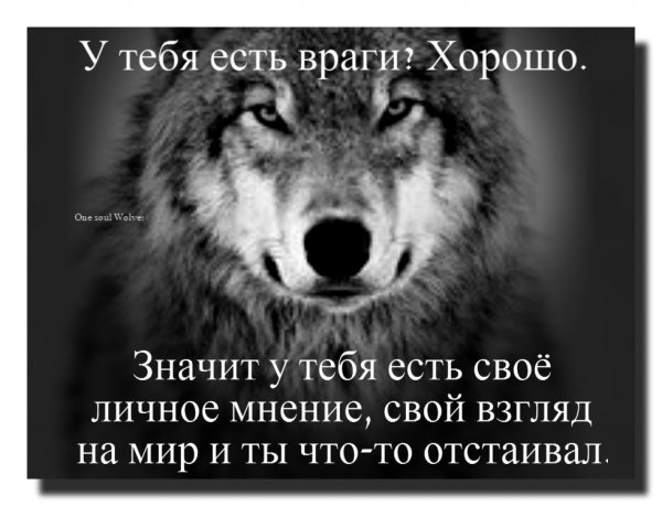 image (22)