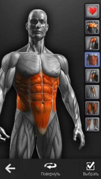 Barbell Pro (Gym Tracker) v.1.90