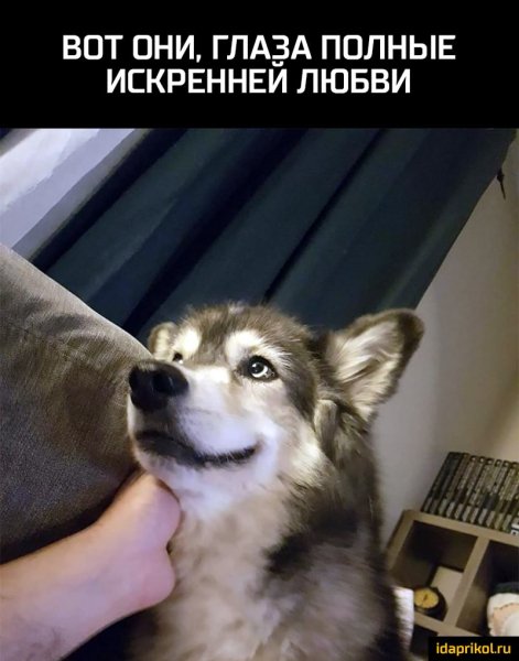 cdddeed376a9fd28e0eb33d282b075105243fa82651503503cb93e7b7fbe2