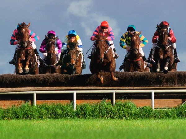 A Race to the Finish Steeplechase