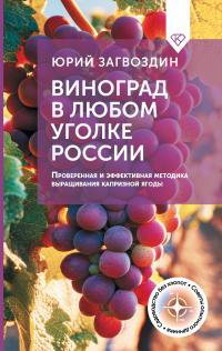 Загвоздин. Виноград в любом уголке России
