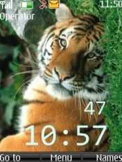 Tiger Clock