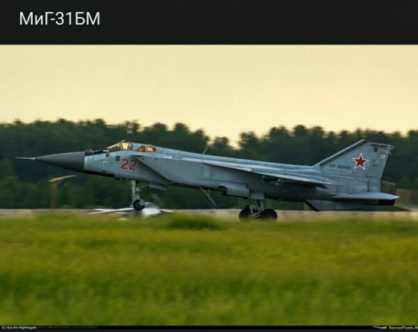 file_79544068