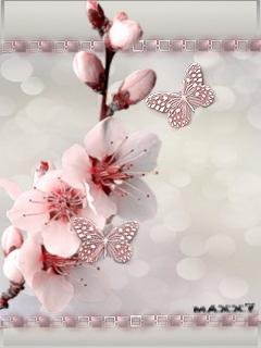 Tenderness of spring v2 Nok 240x320 s40