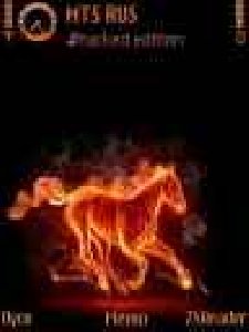 Hot Horse