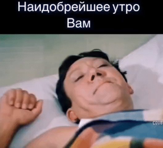 IMG 20260201 091925