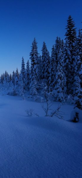 file_92067675