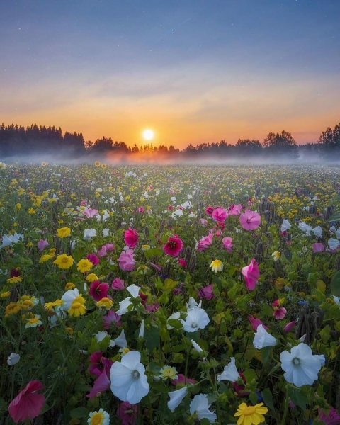 file_93196827