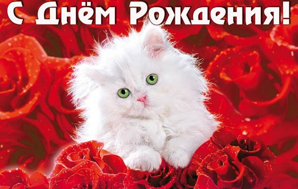 file_81299606