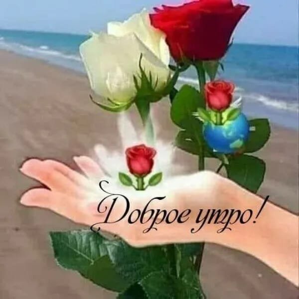file_90278861