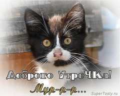 Доброго утречка